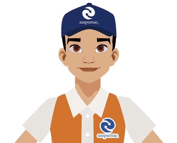 Descripción de la imagen